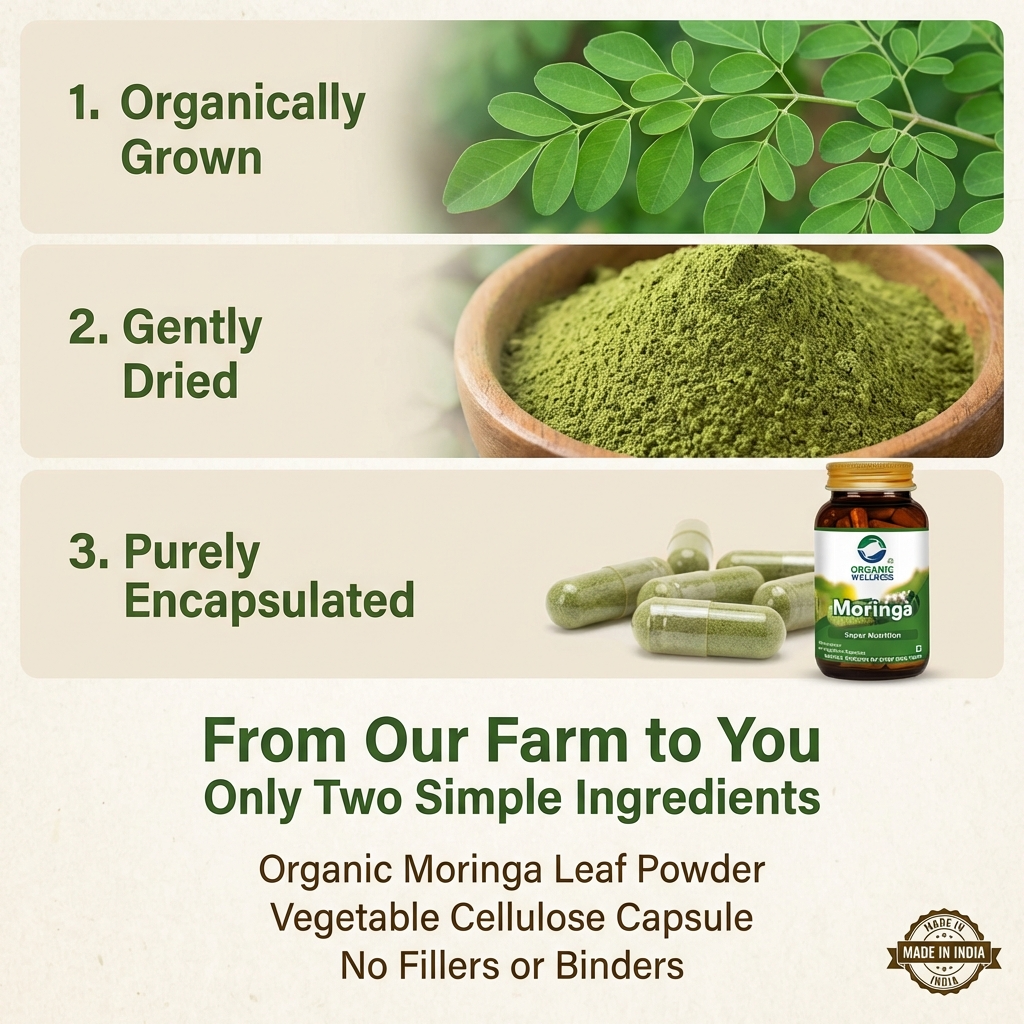Moringa Essential Nutrition 90 N Veg Capsules | Sahjan | Drumstick Leaf Powder for Weight Loss