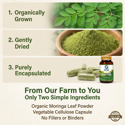 Moringa Essential Nutrition 90 N Veg Capsules | Sahjan | Drumstick Leaf Powder for Weight Loss