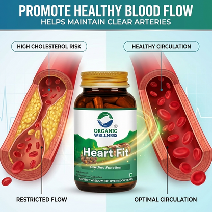 Organic Wellness Heart-Fit 90 Capsules