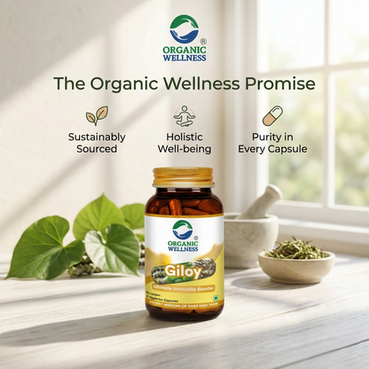 Giloy 90 Capsules