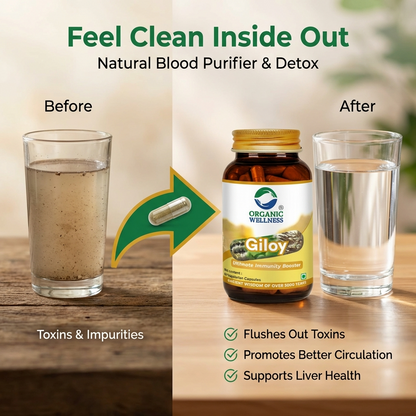 Giloy 90 Capsules