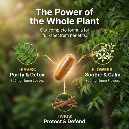 Neem 90 Capsules Bottle