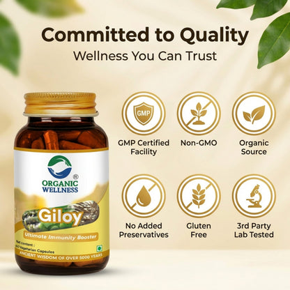 Giloy 90 Capsules