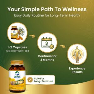 Liv Fit 90 N Veg Capsules | Detox & Repair Fatty Liver Formula | For Healthy Liver || Best Capsule for Liver