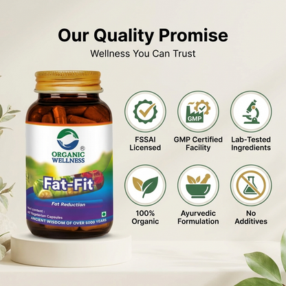 Organic Wellness Fat-Fit 90 Capsules
