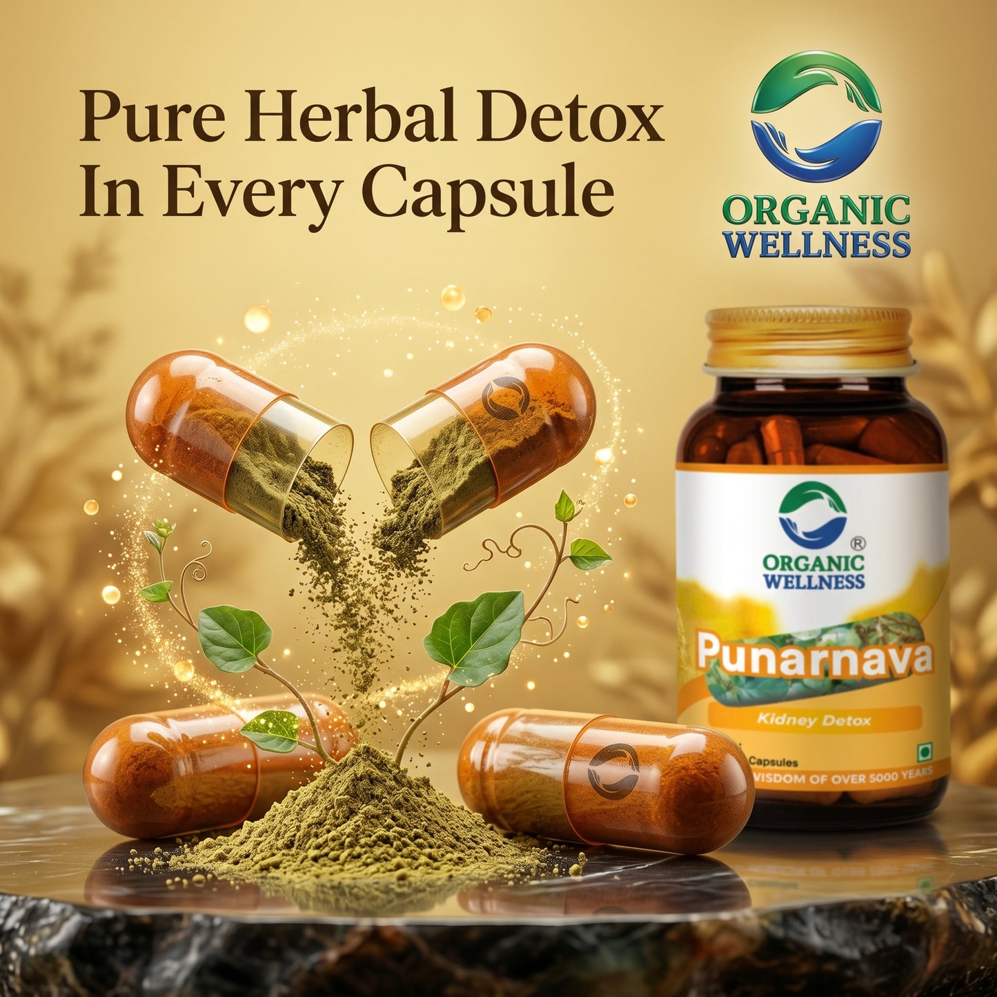 Punarnava 90 Capsules