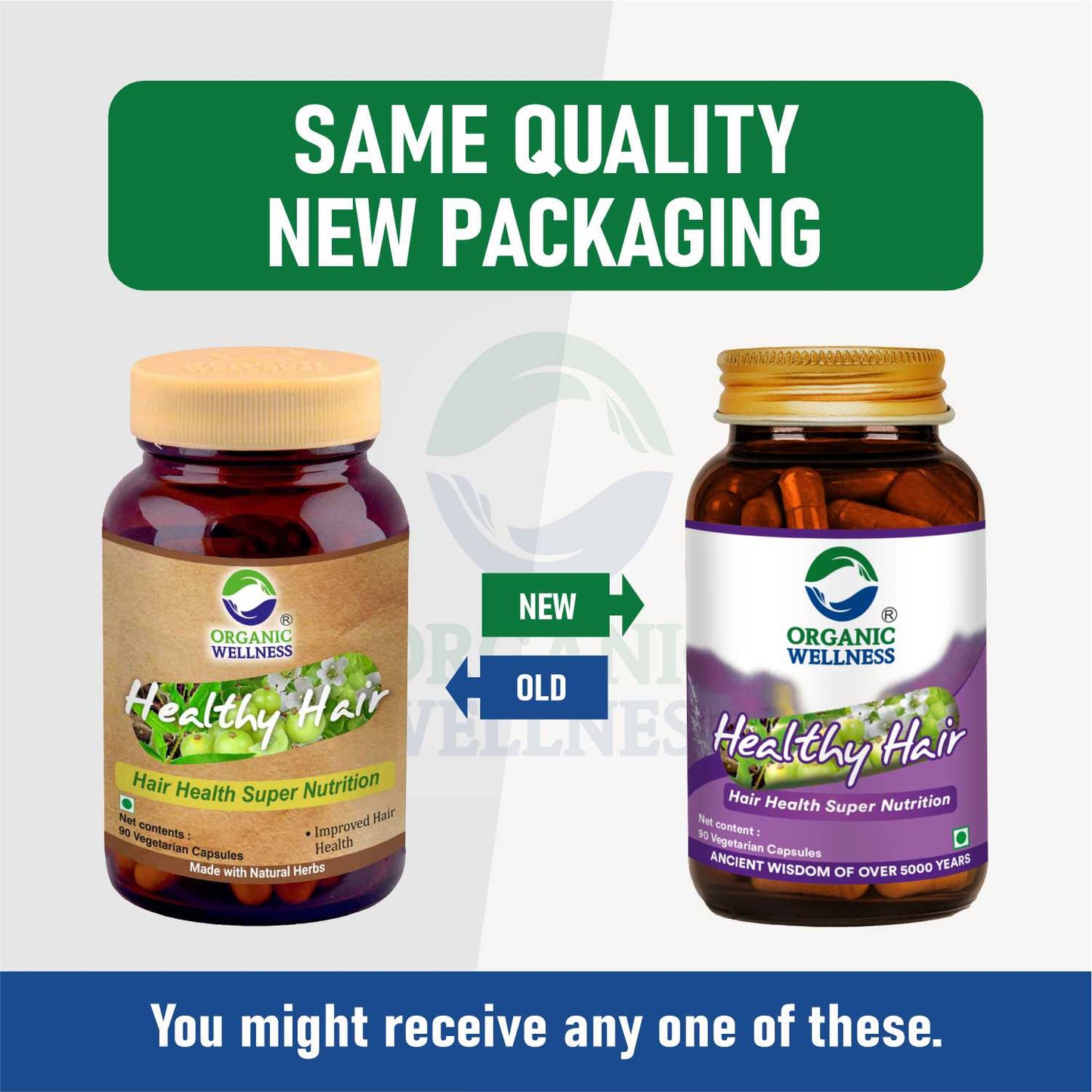 Healthy Hair 90 Vegetarian Capsules