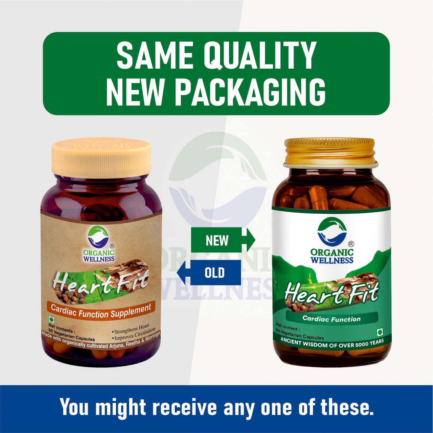 Organic Wellness Heart-Fit 90 Capsules