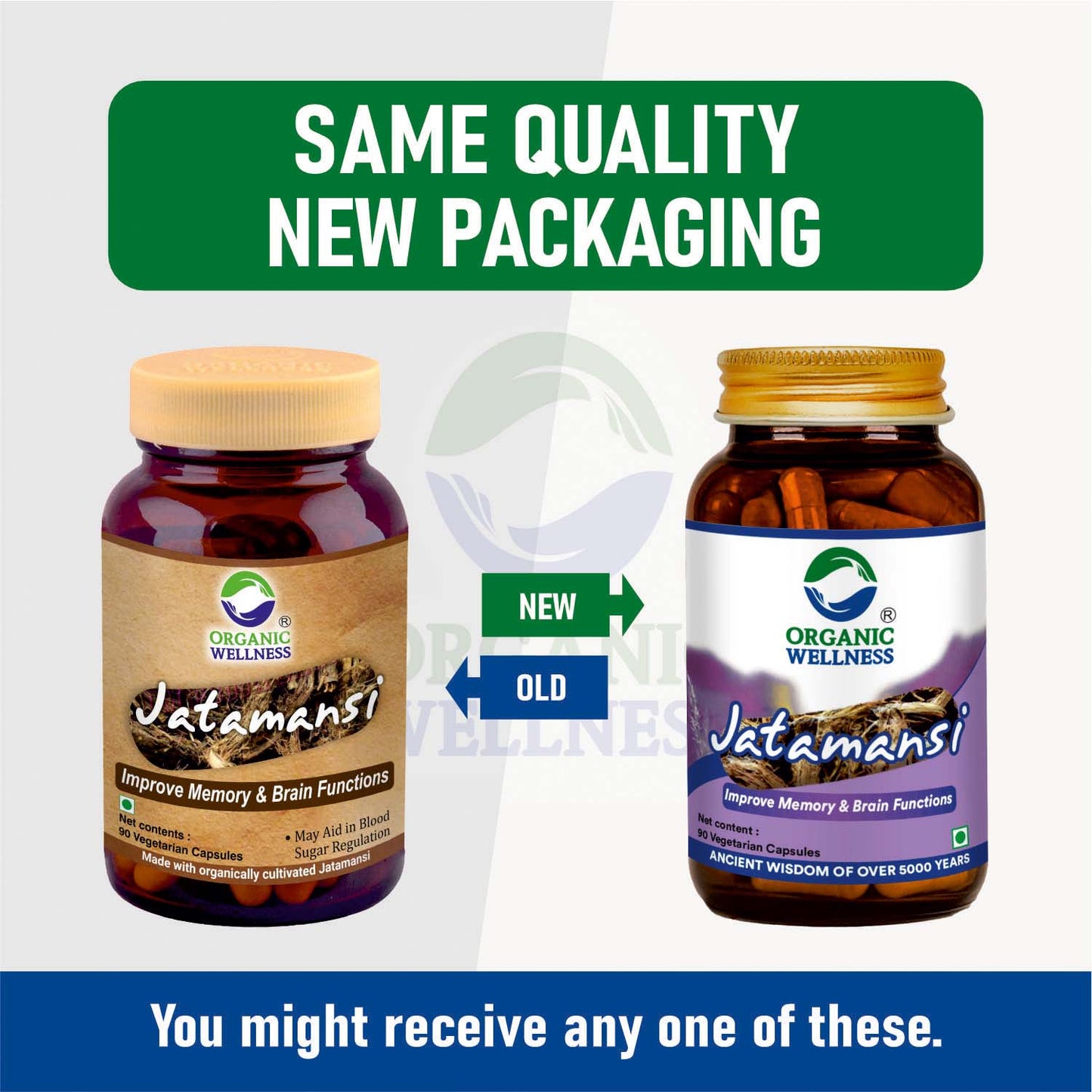 Jatamansi 90 Vegetarian Capsules