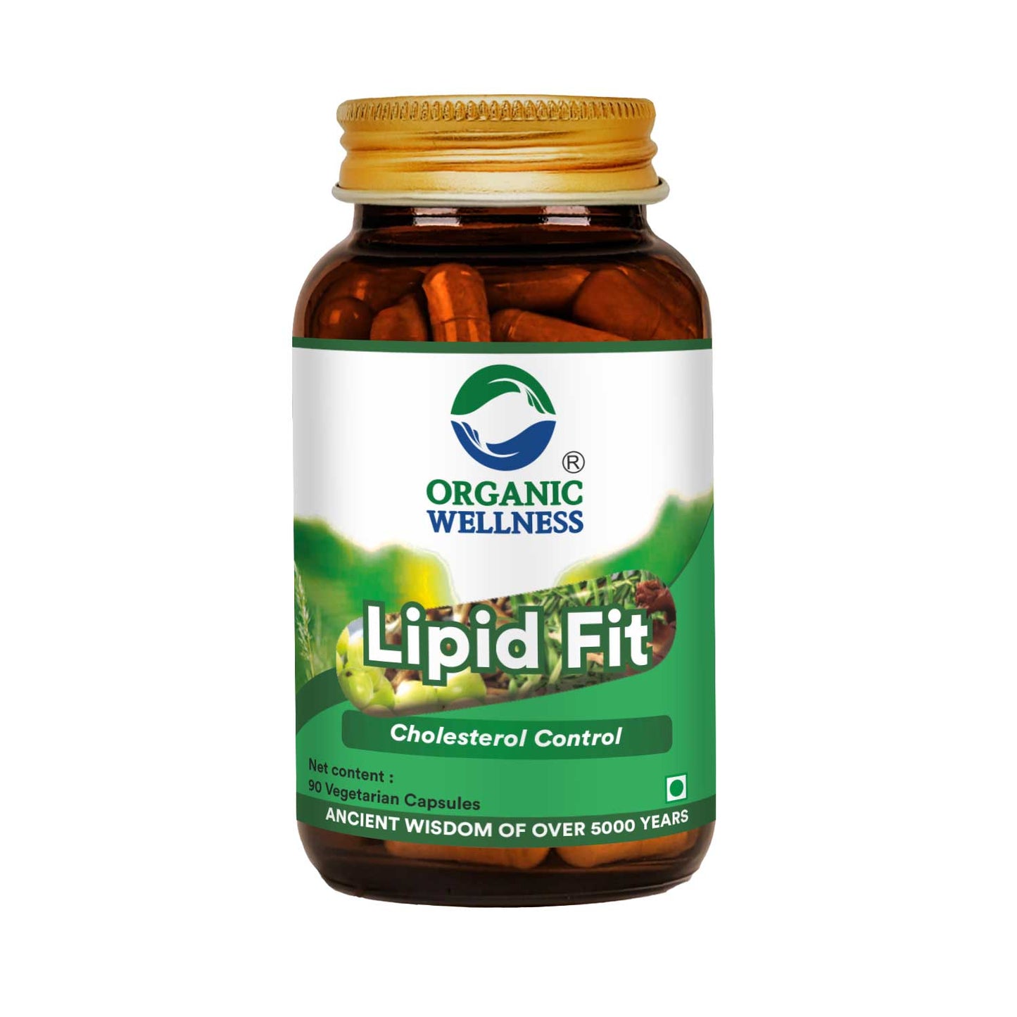 Lipid-Fit 90 Capsules