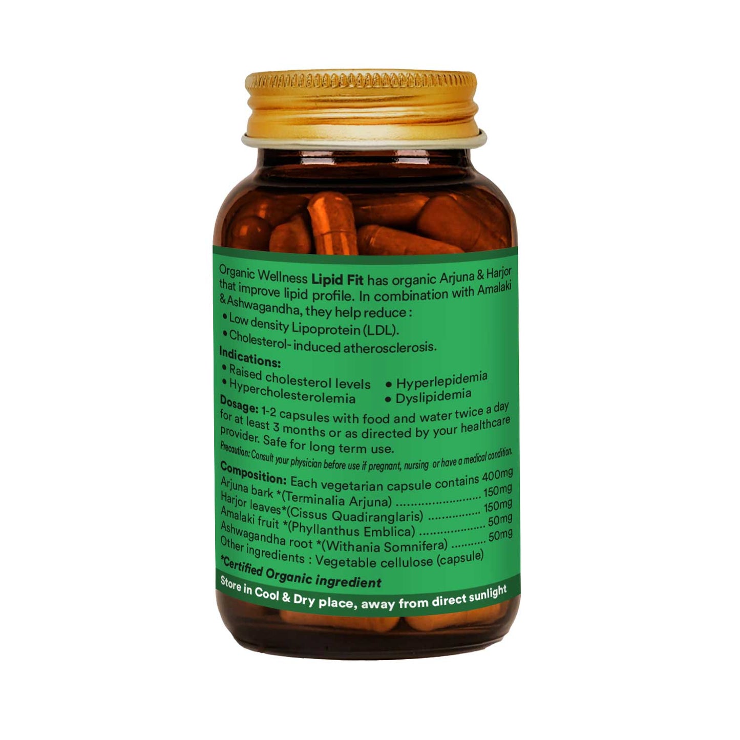 Lipid-Fit 90 Capsules