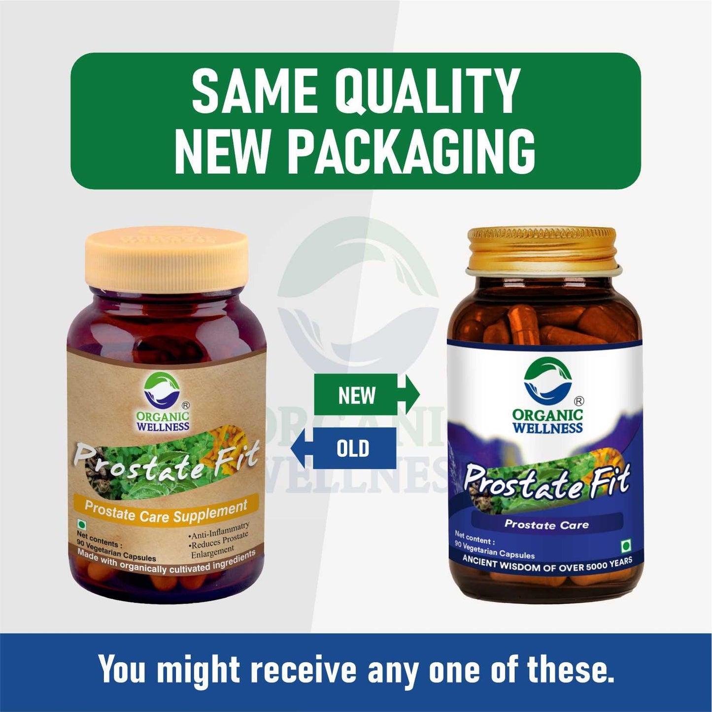 Organic Wellness Prostate-Fit 90 Capsules