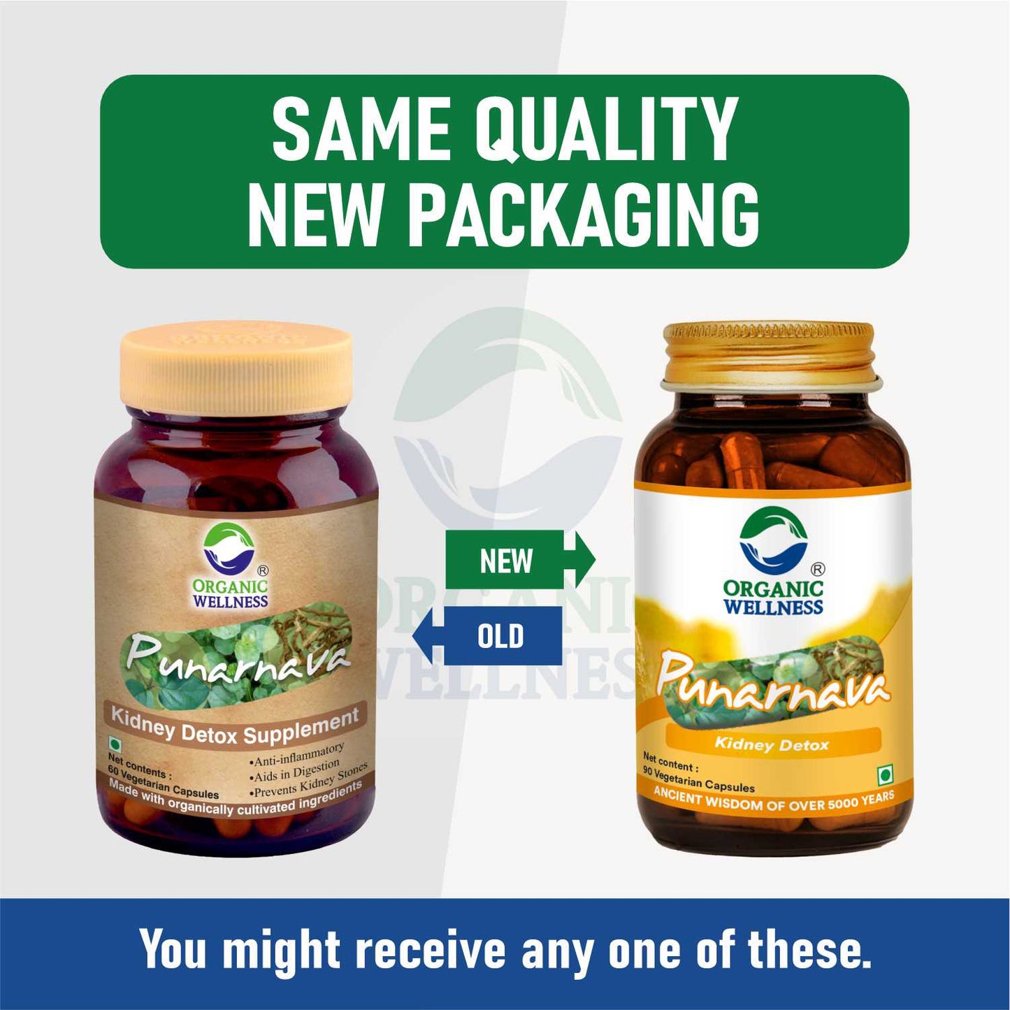 Punarnava 90 Capsules