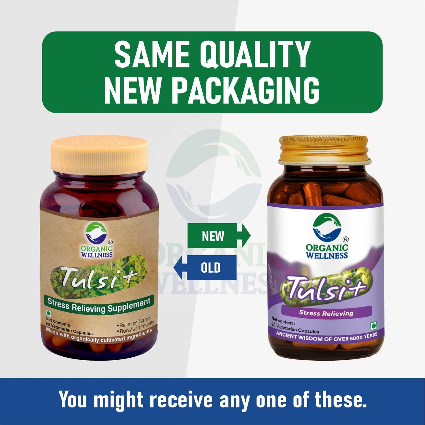 Tulsi+ 90 Capsules