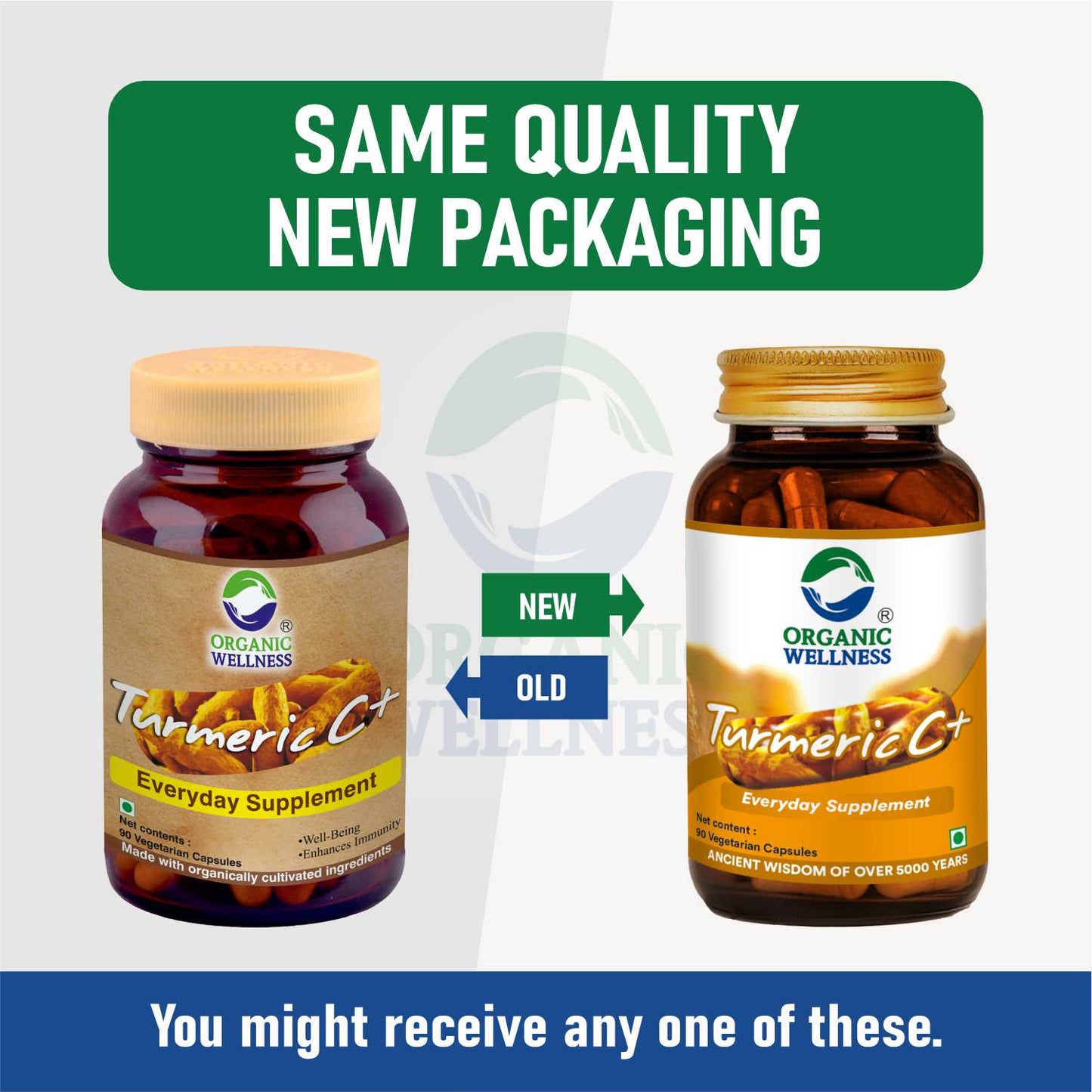Turmeric Curcumin 90 Veg Capsules