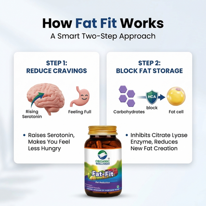Organic Wellness Fat-Fit 90 Capsules