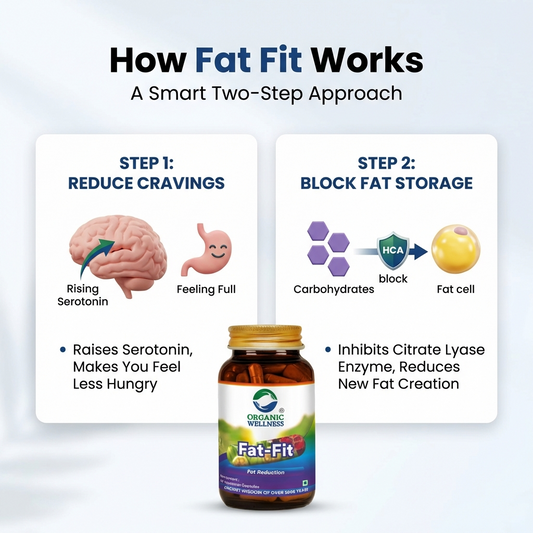 Organic Wellness Fat-Fit 90 Capsules