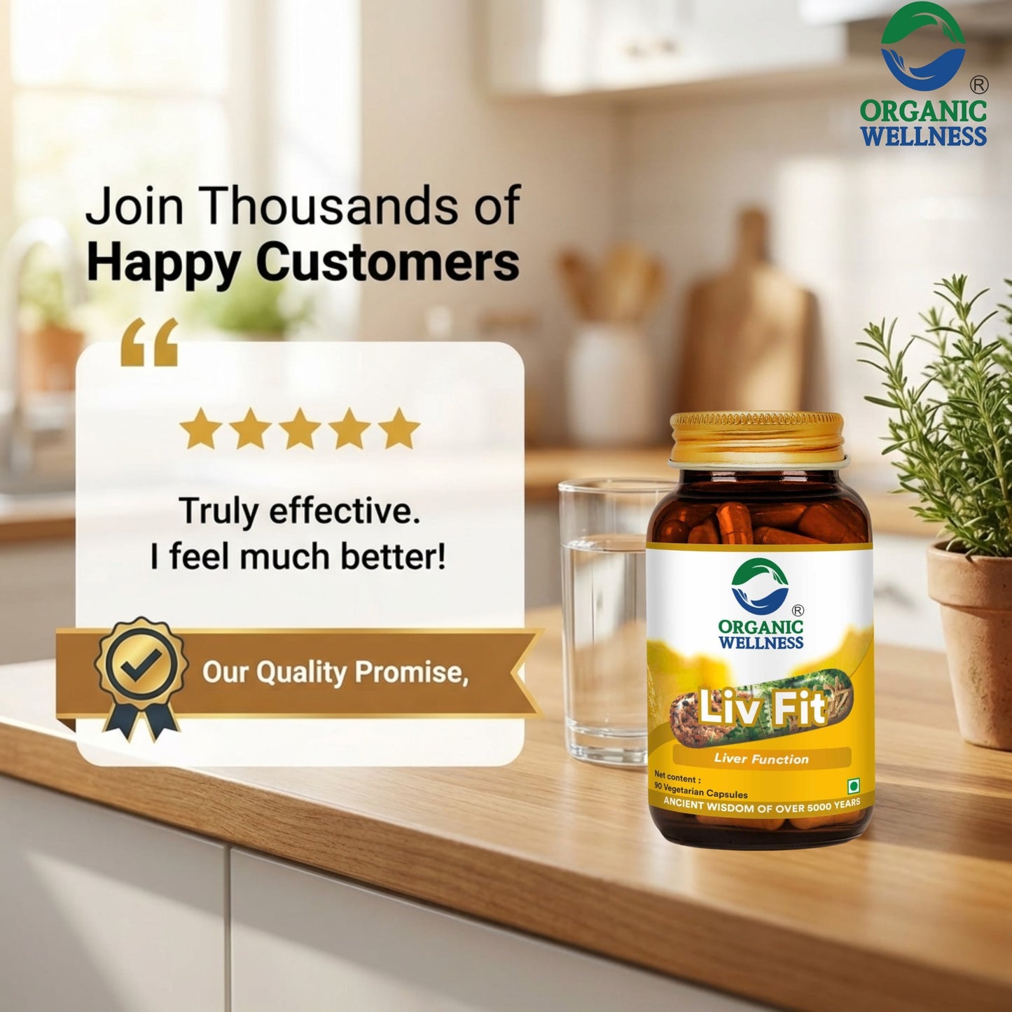 Liv Fit 90 N Veg Capsules | Detox & Repair Fatty Liver Formula | For Healthy Liver || Best Capsule for Liver