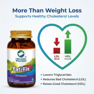 Organic Wellness Fat-Fit 90 Capsules