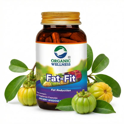 Organic Wellness Fat-Fit 90 Capsules