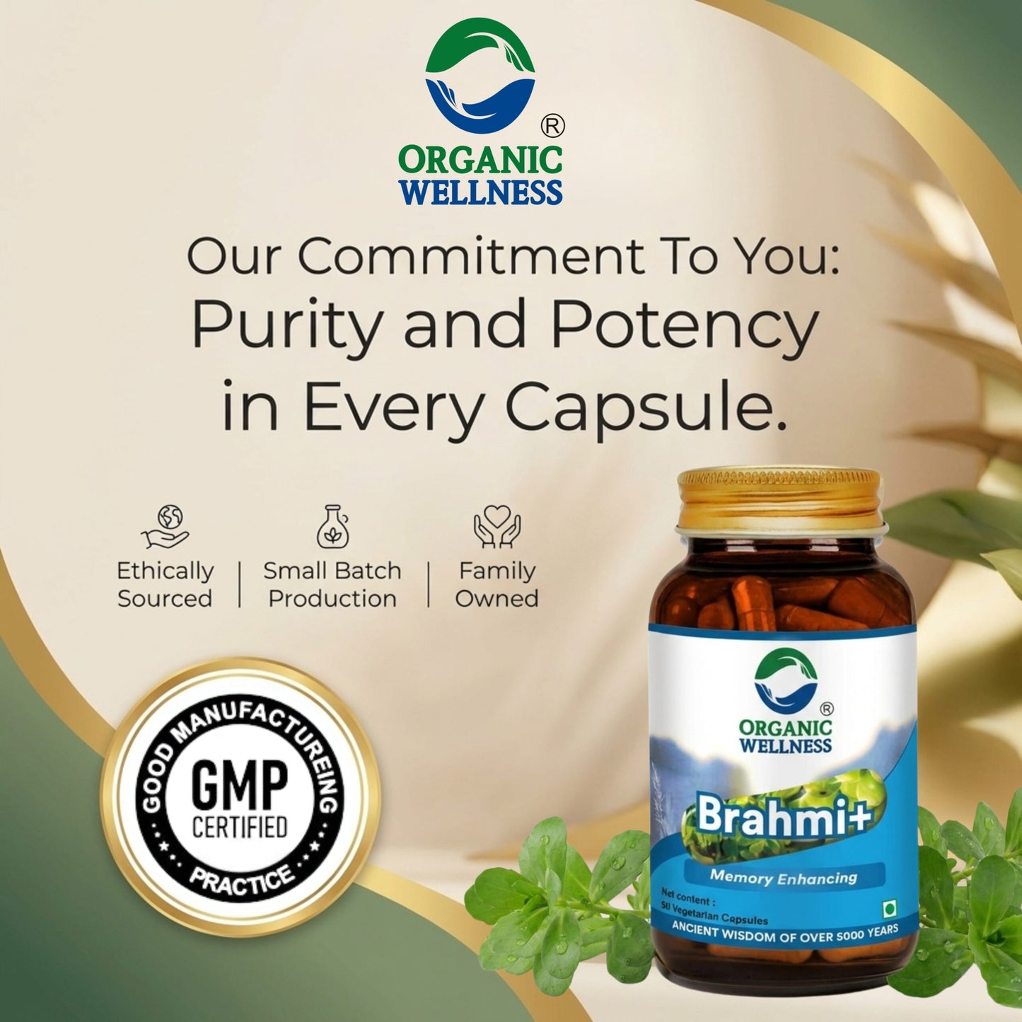 Organic Wellness Brahmi+ 90 Capsules II Memory Booster