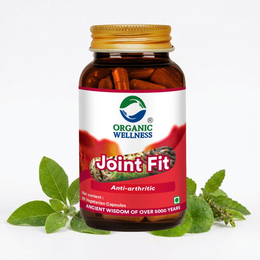 Organic Wellness Joint Fit 90 Capsules