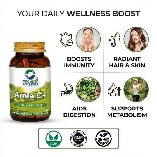 Amla Capsules – Vitamin C – Antioxidant – 90 Veg Capsules