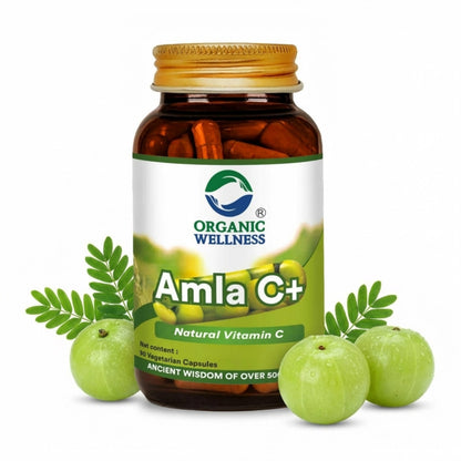 Amla Capsules – Vitamin C – Antioxidant – 90 Veg Capsules