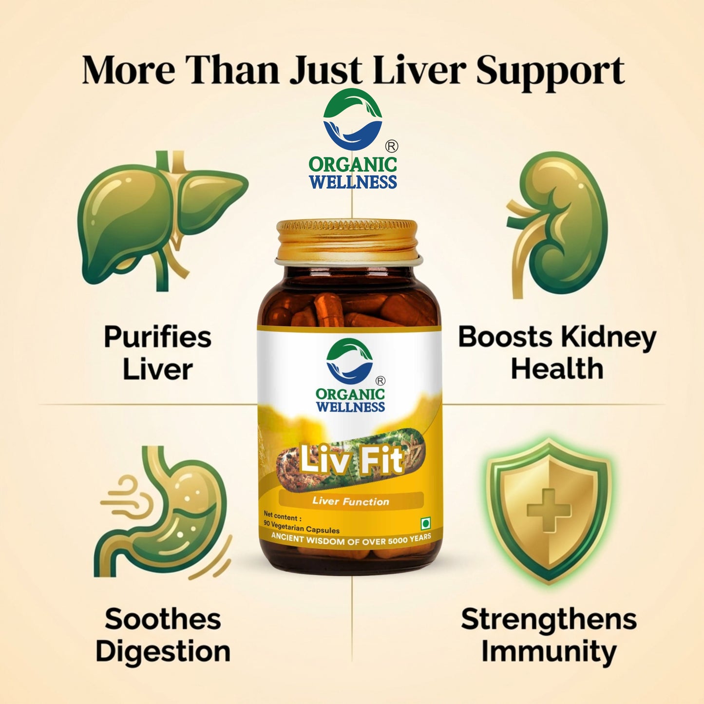 Liv Fit 90 N Veg Capsules | Detox & Repair Fatty Liver Formula | For Healthy Liver || Best Capsule for Liver