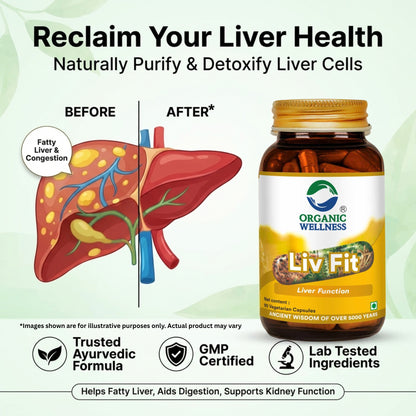 Liv Fit 90 N Veg Capsules | Detox & Repair Fatty Liver Formula | For Healthy Liver || Best Capsule for Liver